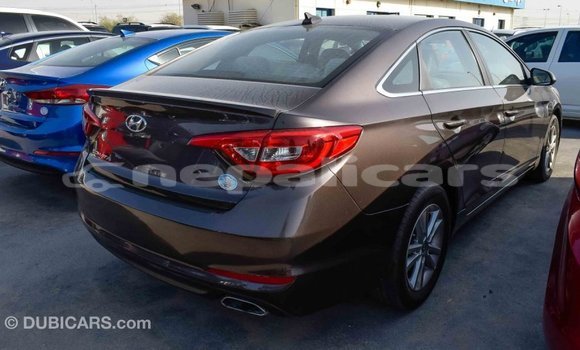 Buy Import Hyundai Sonata Brown Car in Import - Dubai in Bagmati Buy Import Hyundai Sonata Brown Car in Import - Dubai in Bagmati