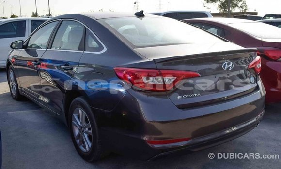 Buy Import Hyundai Sonata Brown Car in Import - Dubai in Bagmati Buy Import Hyundai Sonata Brown Car in Import - Dubai in Bagmati