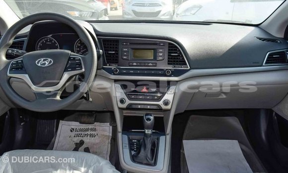 Buy Import Hyundai Elantra Blue Car in Import - Dubai in Bagmati Buy Import Hyundai Elantra Blue Car in Import - Dubai in Bagmati
