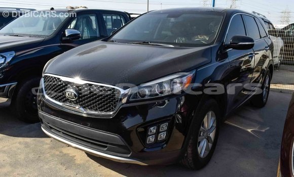 Buy Import Kia Sorento Black Car in Import - Dubai in Bagmati Buy Import Kia Sorento Black Car in Import - Dubai in Bagmati