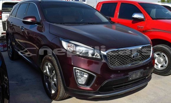 Buy Import Kia Sorento Brown Car in Import - Dubai in Bagmati Buy Import Kia Sorento Brown Car in Import - Dubai in Bagmati