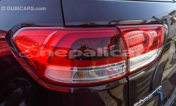 Buy Import Kia Sorento Brown Car in Import - Dubai in Bagmati Buy Import Kia Sorento Brown Car in Import - Dubai in Bagmati