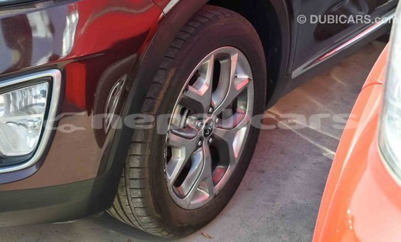 Buy Import Kia Sorento Brown Car in Import - Dubai in Bagmati Buy Import Kia Sorento Brown Car in Import - Dubai in Bagmati