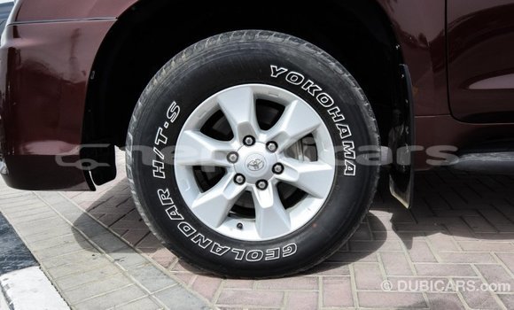 Buy Import Toyota Prado Brown Car in Import - Dubai in Bagmati Buy Import Toyota Prado Brown Car in Import - Dubai in Bagmati
