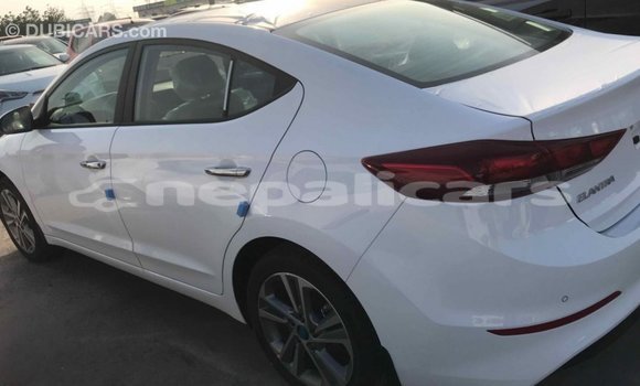 Buy Import Hyundai Elantra White Car in Import - Dubai in Bagmati Buy Import Hyundai Elantra White Car in Import - Dubai in Bagmati