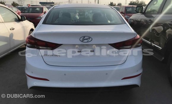 Buy Import Hyundai Elantra White Car in Import - Dubai in Bagmati Buy Import Hyundai Elantra White Car in Import - Dubai in Bagmati