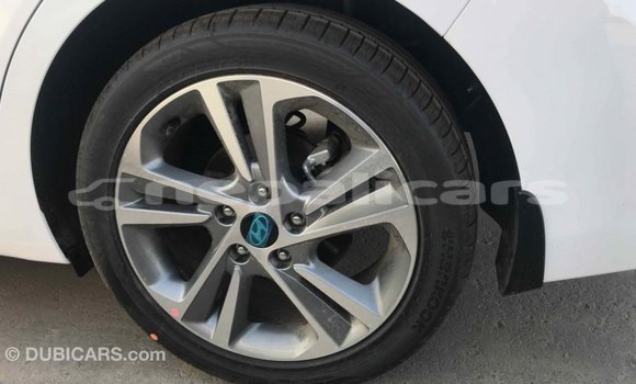 Buy Import Hyundai Elantra White Car in Import - Dubai in Bagmati Buy Import Hyundai Elantra White Car in Import - Dubai in Bagmati