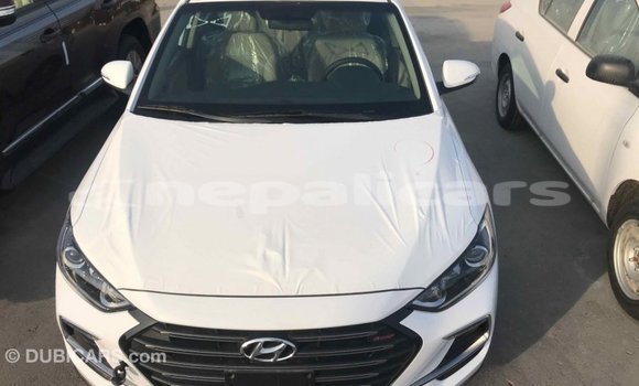 Buy Import Hyundai Elantra White Car in Import - Dubai in Bagmati Buy Import Hyundai Elantra White Car in Import - Dubai in Bagmati