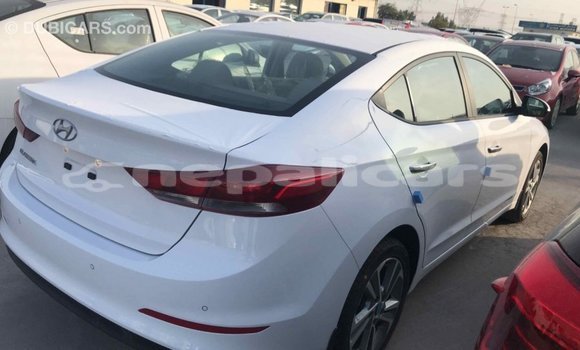 Buy Import Hyundai Elantra White Car in Import - Dubai in Bagmati Buy Import Hyundai Elantra White Car in Import - Dubai in Bagmati