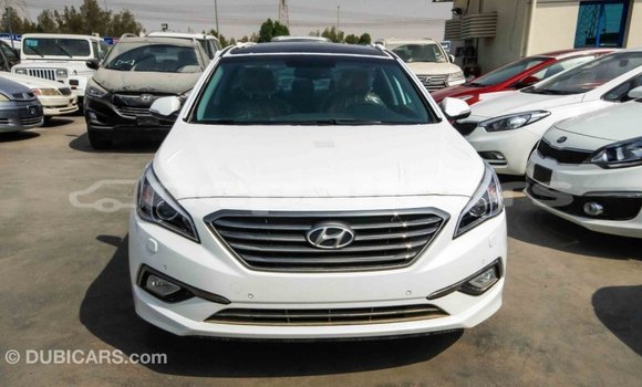 Buy Import Hyundai Sonata White Car in Import - Dubai in Bagmati Buy Import Hyundai Sonata White Car in Import - Dubai in Bagmati