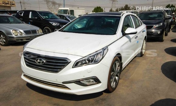 Buy Import Hyundai Sonata White Car in Import - Dubai in Bagmati Buy Import Hyundai Sonata White Car in Import - Dubai in Bagmati