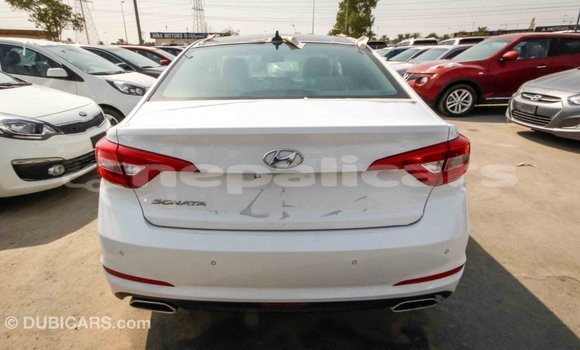 Buy Import Hyundai Sonata White Car in Import - Dubai in Bagmati Buy Import Hyundai Sonata White Car in Import - Dubai in Bagmati