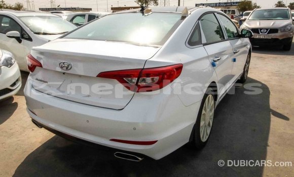 Buy Import Hyundai Sonata White Car in Import - Dubai in Bagmati Buy Import Hyundai Sonata White Car in Import - Dubai in Bagmati