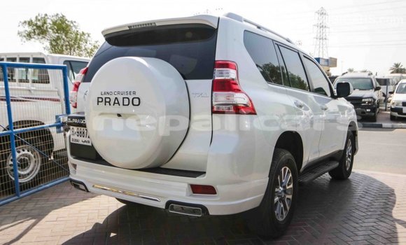 Buy Import Toyota Prado White Car in Import - Dubai in Bagmati Buy Import Toyota Prado White Car in Import - Dubai in Bagmati