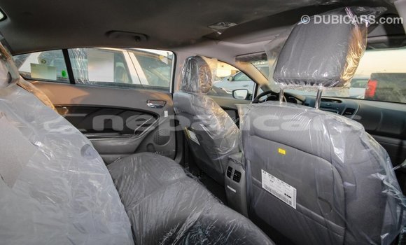 Buy Import Kia Cerato White Car in Import - Dubai in Bagmati Buy Import Kia Cerato White Car in Import - Dubai in Bagmati