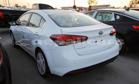 Buy Import Kia Cerato White Car in Import - Dubai in Bagmati Buy Import Kia Cerato White Car in Import - Dubai in Bagmati