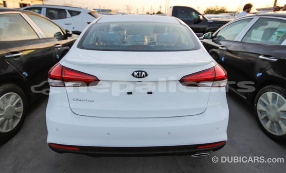 Buy Import Kia Cerato White Car in Import - Dubai in Bagmati Buy Import Kia Cerato White Car in Import - Dubai in Bagmati