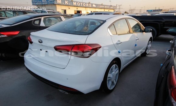Buy Import Kia Cerato White Car in Import - Dubai in Bagmati Buy Import Kia Cerato White Car in Import - Dubai in Bagmati