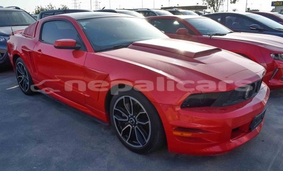 Buy Import Ford Mustang Red Car in Import - Dubai in Bagmati Buy Import Ford Mustang Red Car in Import - Dubai in Bagmati