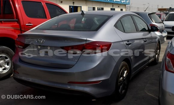 Buy Import Hyundai Elantra Other Car in Import - Dubai in Bagmati Buy Import Hyundai Elantra Other Car in Import - Dubai in Bagmati