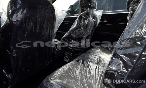 Buy Import Kia Sorento Other Car in Import - Dubai in Bagmati Buy Import Kia Sorento Other Car in Import - Dubai in Bagmati