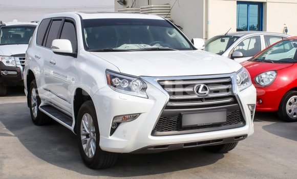 Buy Import Lexus GX White Car in Import - Dubai in Bagmati Buy Import Lexus GX White Car in Import - Dubai in Bagmati