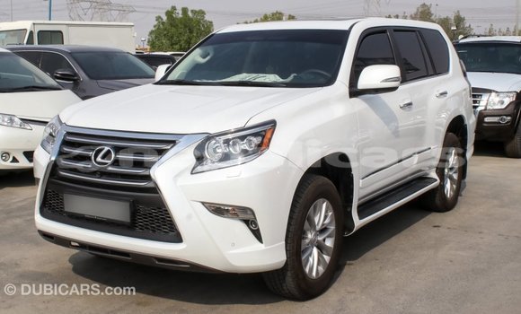 Buy Import Lexus GX White Car in Import - Dubai in Bagmati Buy Import Lexus GX White Car in Import - Dubai in Bagmati