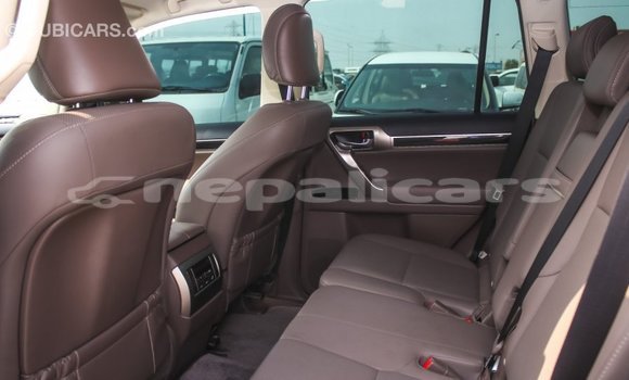 Buy Import Lexus GX White Car in Import - Dubai in Bagmati Buy Import Lexus GX White Car in Import - Dubai in Bagmati