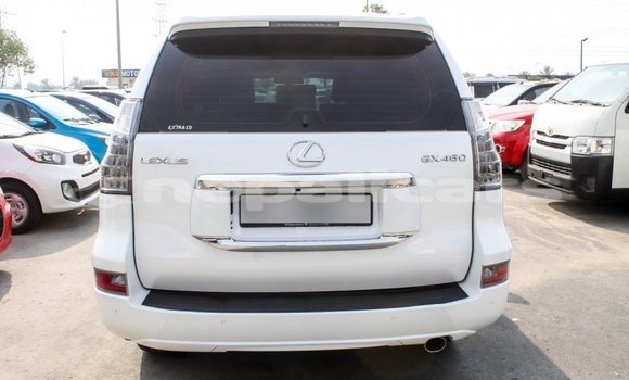 Buy Import Lexus GX White Car in Import - Dubai in Bagmati Buy Import Lexus GX White Car in Import - Dubai in Bagmati