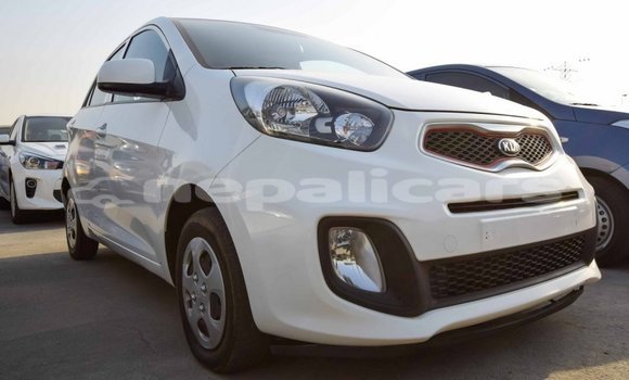 Buy Import Kia Picanto White Car in Import - Dubai in Bagmati Buy Import Kia Picanto White Car in Import - Dubai in Bagmati