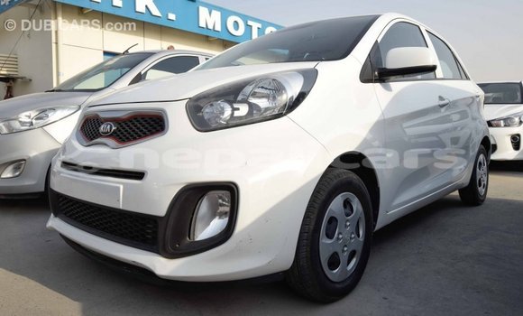 Buy Import Kia Picanto White Car in Import - Dubai in Bagmati Buy Import Kia Picanto White Car in Import - Dubai in Bagmati