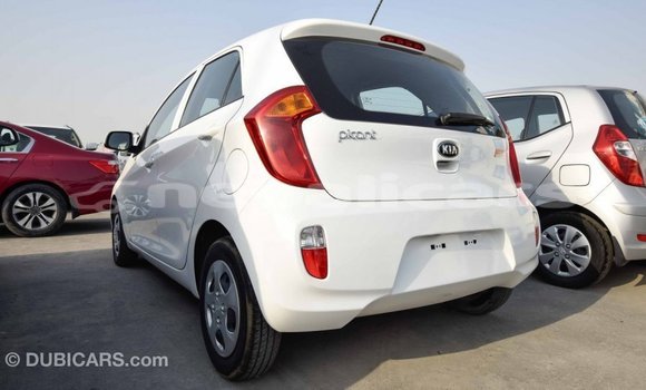 Buy Import Kia Picanto White Car in Import - Dubai in Bagmati Buy Import Kia Picanto White Car in Import - Dubai in Bagmati
