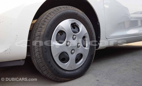 Buy Import Kia Picanto White Car in Import - Dubai in Bagmati Buy Import Kia Picanto White Car in Import - Dubai in Bagmati