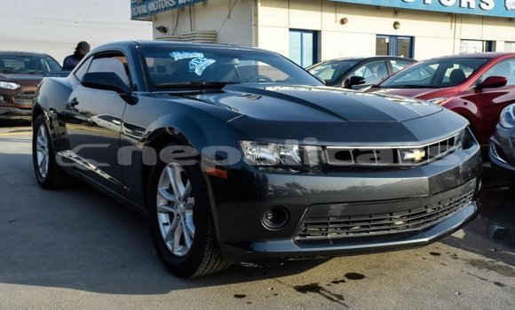 Buy Import Chevrolet Camaro Other Car in Import - Dubai in Bagmati