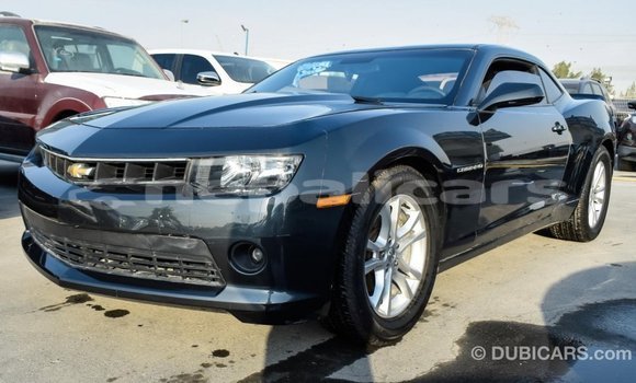 Buy Import Chevrolet Camaro Other Car in Import - Dubai in Bagmati Buy Import Chevrolet Camaro Other Car in Import - Dubai in Bagmati