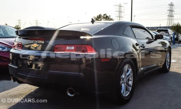 Buy Import Chevrolet Camaro Other Car in Import - Dubai in Bagmati Buy Import Chevrolet Camaro Other Car in Import - Dubai in Bagmati