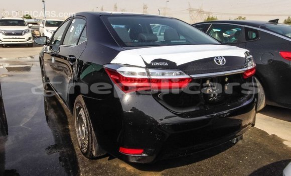 Buy Import Toyota Corolla Black Car in Import - Dubai in Bagmati Buy Import Toyota Corolla Black Car in Import - Dubai in Bagmati