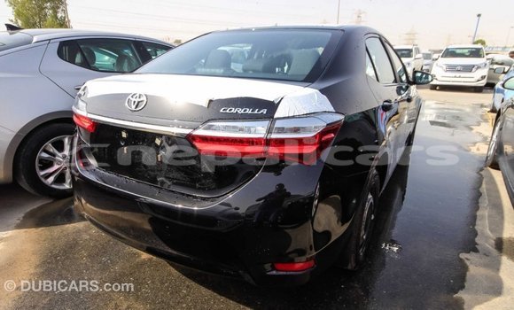 Buy Import Toyota Corolla Black Car in Import - Dubai in Bagmati Buy Import Toyota Corolla Black Car in Import - Dubai in Bagmati