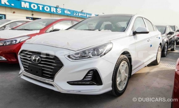 Buy Import Hyundai Sonata White Car in Import - Dubai in Bagmati Buy Import Hyundai Sonata White Car in Import - Dubai in Bagmati