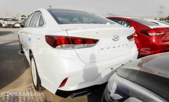 Buy Import Hyundai Sonata White Car in Import - Dubai in Bagmati Buy Import Hyundai Sonata White Car in Import - Dubai in Bagmati