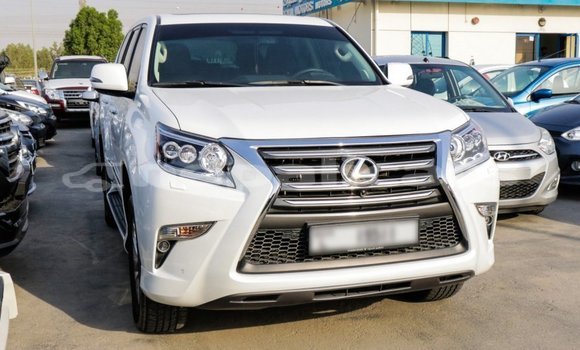 Buy Import Lexus GX White Car in Import - Dubai in Bagmati Buy Import Lexus GX White Car in Import - Dubai in Bagmati