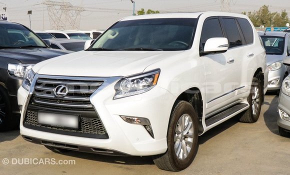 Buy Import Lexus GX White Car in Import - Dubai in Bagmati Buy Import Lexus GX White Car in Import - Dubai in Bagmati