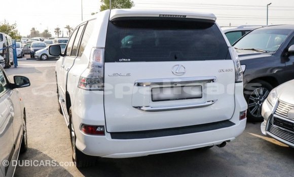 Buy Import Lexus GX White Car in Import - Dubai in Bagmati Buy Import Lexus GX White Car in Import - Dubai in Bagmati