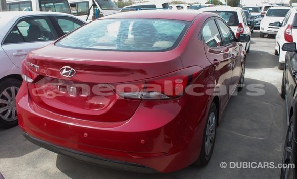 Buy Import Hyundai Elantra Red Car in Import - Dubai in Bagmati Buy Import Hyundai Elantra Red Car in Import - Dubai in Bagmati