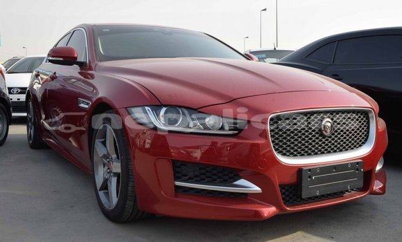Buy Import Jaguar XE Red Car in Import - Dubai in Bagmati