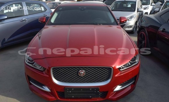 Buy Import Jaguar XE Red Car in Import - Dubai in Bagmati Buy Import Jaguar XE Red Car in Import - Dubai in Bagmati