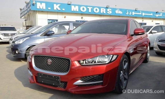 Buy Import Jaguar XE Red Car in Import - Dubai in Bagmati Buy Import Jaguar XE Red Car in Import - Dubai in Bagmati
