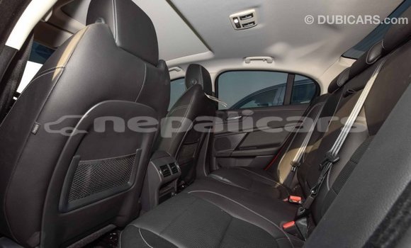 Buy Import Jaguar XE Red Car in Import - Dubai in Bagmati Buy Import Jaguar XE Red Car in Import - Dubai in Bagmati