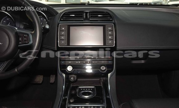 Buy Import Jaguar XE Red Car in Import - Dubai in Bagmati Buy Import Jaguar XE Red Car in Import - Dubai in Bagmati