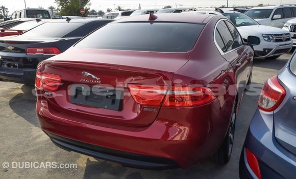 Buy Import Jaguar XE Red Car in Import - Dubai in Bagmati Buy Import Jaguar XE Red Car in Import - Dubai in Bagmati